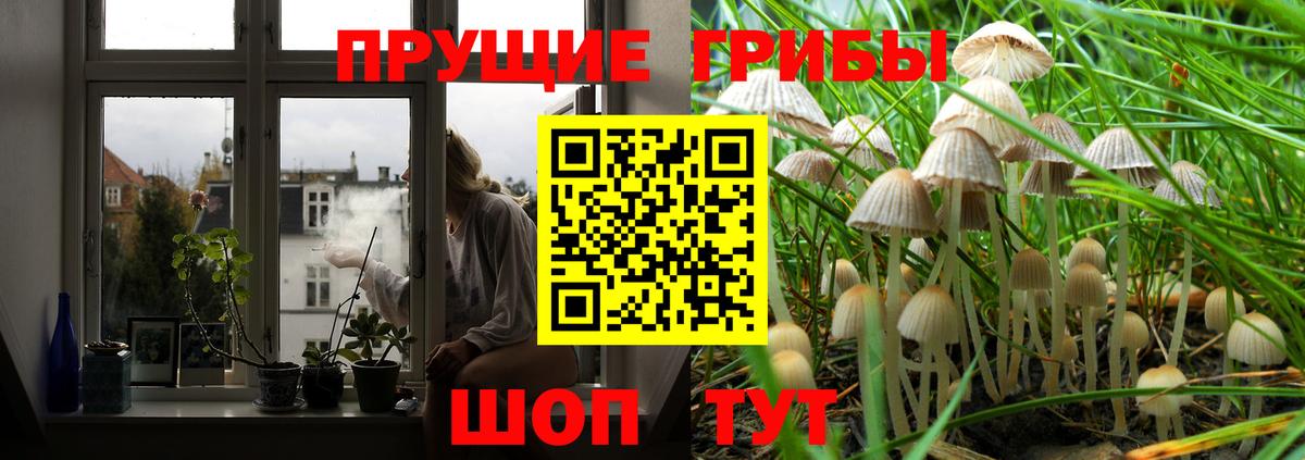 Дюртюли  Галлюциногенные грибы ЛСД  где можно купить наркотик  Вход с VPN 